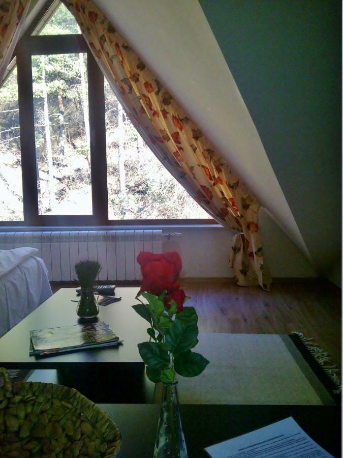 Vila Rila Samokov Esterno foto